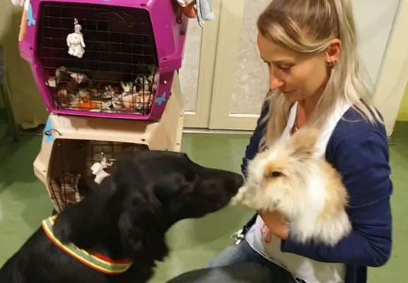 Fotochallenge Nr. 51 "Euer Hund mit anderen Tieren"-Beitrag-Bild