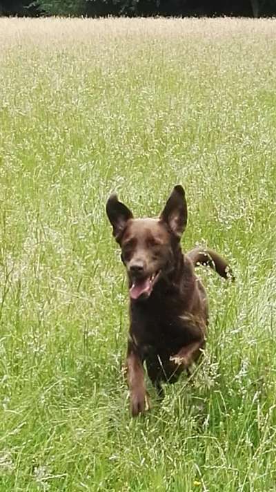 Fotochallenge No. 26                                     Wald und Wiese-Beitrag-Bild