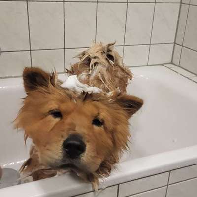 Freddys Kummerkasten-Beitrag-Bild