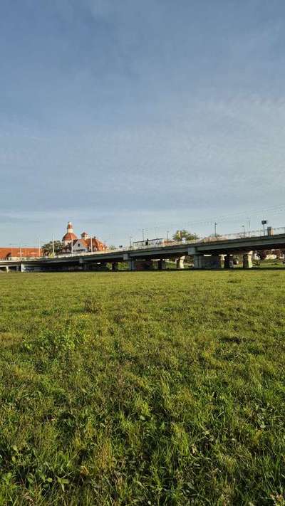 Hundeauslaufgebiet-Wiese unter der Schlachthofbrücke-Bild