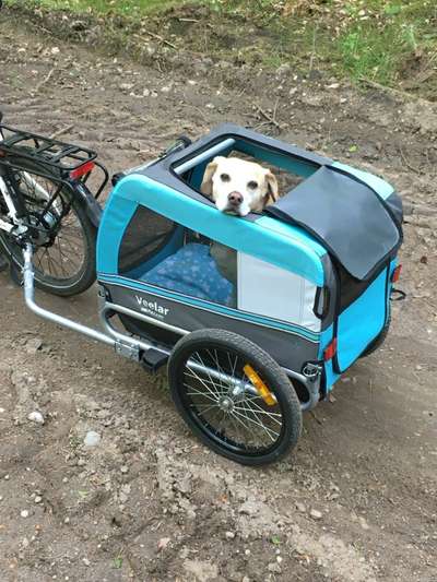 Mit Fahrradanhänger unterwegs?-Beitrag-Bild