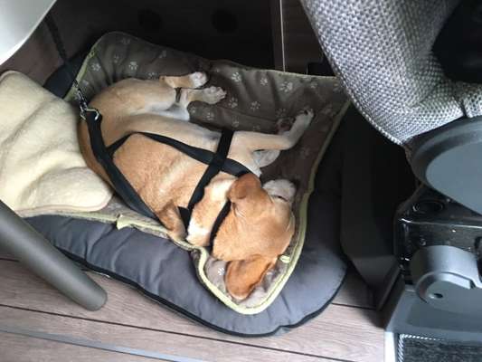 Erstausstattung-Beitrag-Bild