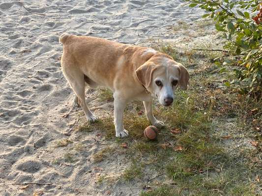 Senioren-Beitrag-Bild