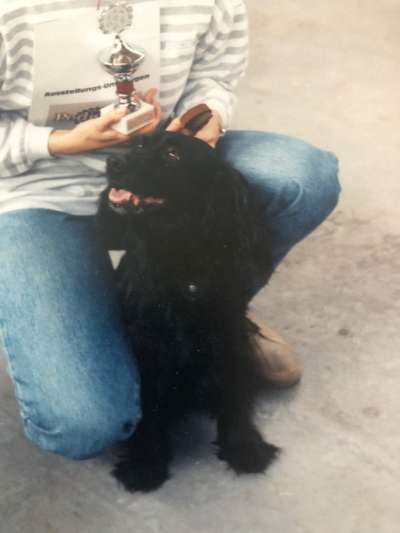 Unsere Fellnasen im Regenbogenland-Beitrag-Bild