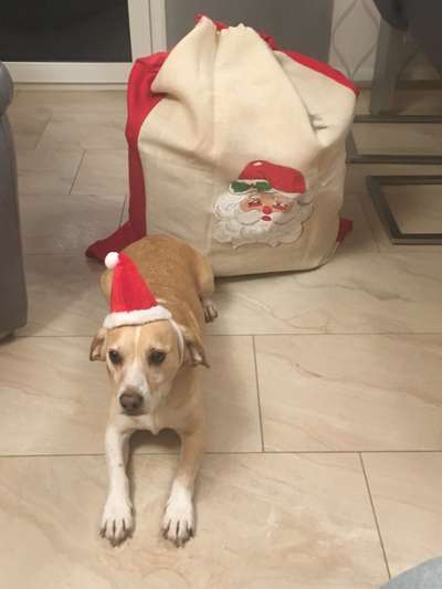 It's beginning to look a lot like.....-Beitrag-Bild