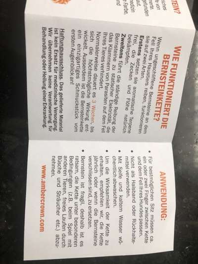 Natürlicher Zeckenschutz - eine Herzensangelegenheit-Beitrag-Bild