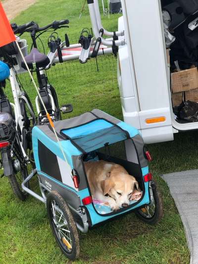 Mit Fahrradanhänger unterwegs?-Beitrag-Bild