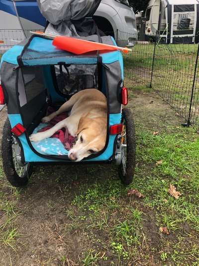 4. Lustiger Schlafplatz-Beitrag-Bild