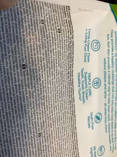 Nierendiät beim Hund-Beitrag-Bild