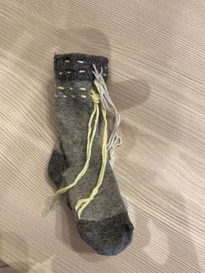 Das erste Mal Pfotenverband - Hilfe zum Thema Nässe-Beitrag-Bild