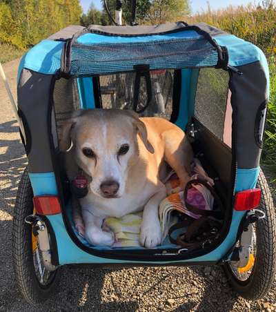 Braune Tränenspuren unter den Augen-Beitrag-Bild