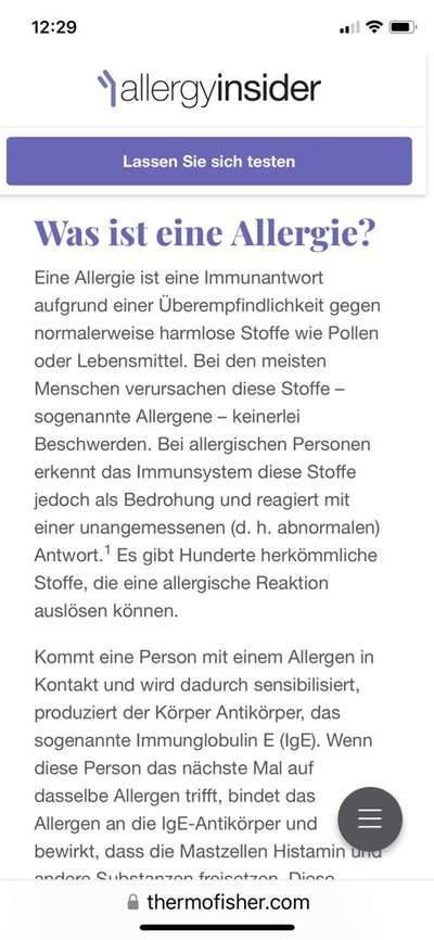 Impfung gegen die Tollwut: Pflicht oder nicht?-Beitrag-Bild