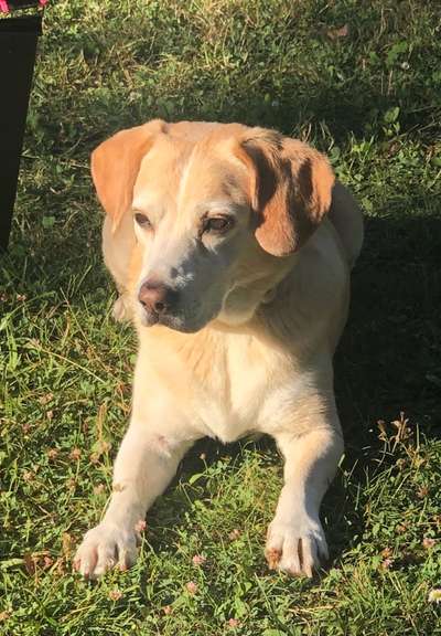 Doppelgänger gesucht !-Beitrag-Bild