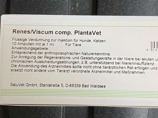 Stress oder doch erkrankt-Beitrag-Bild