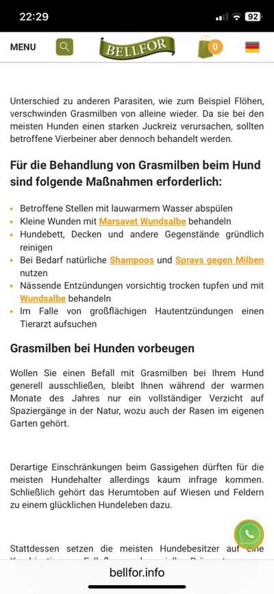 Massives putzen und kratzen-Beitrag-Bild