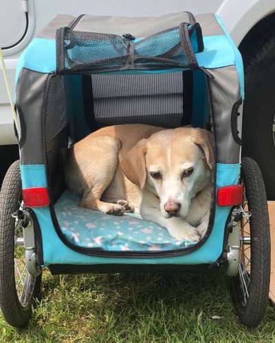 Senioren-Beitrag-Bild