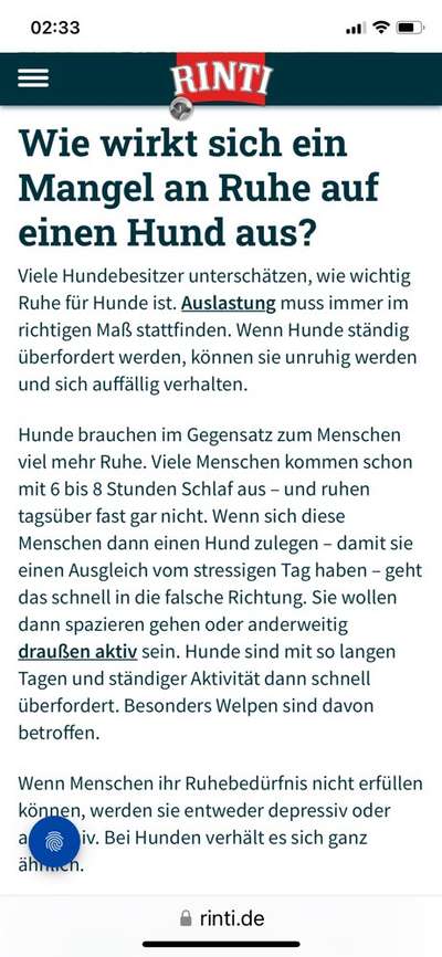 Junghund wird zum Tasmanichen Teufel-Beitrag-Bild