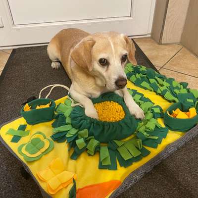 Beschäftigungsmöglichkeiten-Beitrag-Bild