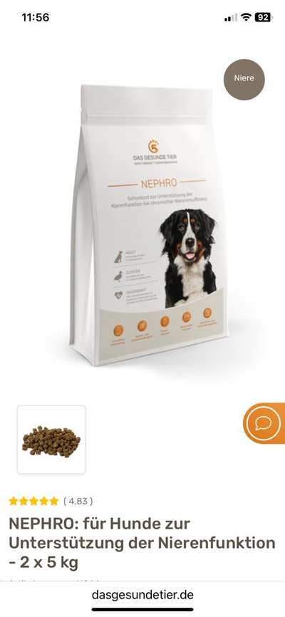 Angehendes Nierenversagen 2 Jähriger Rüde-Beitrag-Bild