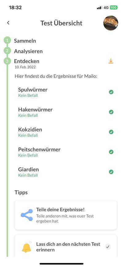 Entwurmung mit Milbactor-Tablette-Beitrag-Bild