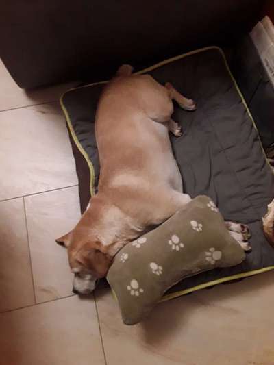 Die unbequemsten und lustigsten Schlafpositionen-Beitrag-Bild