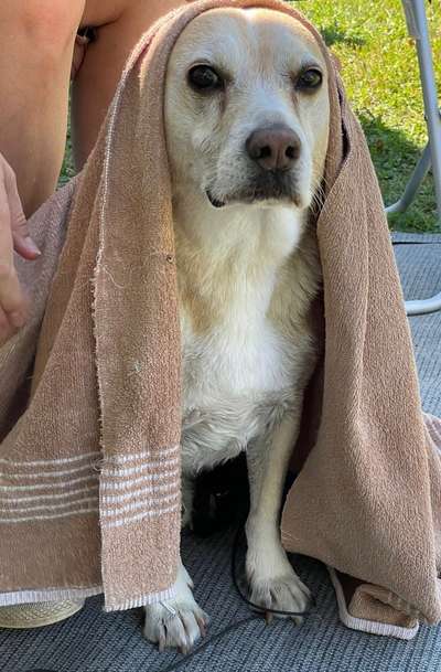 Lustigsten Bilder-Beitrag-Bild