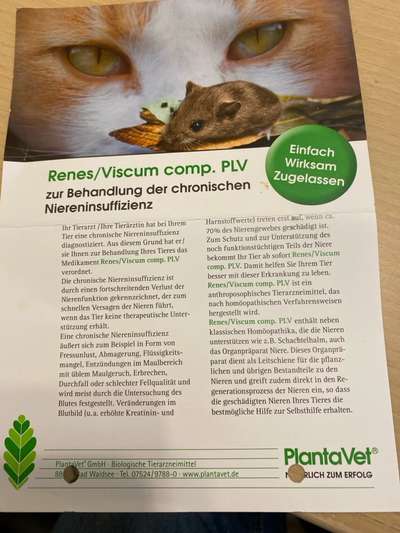 Angehendes Nierenversagen 2 Jähriger Rüde-Beitrag-Bild