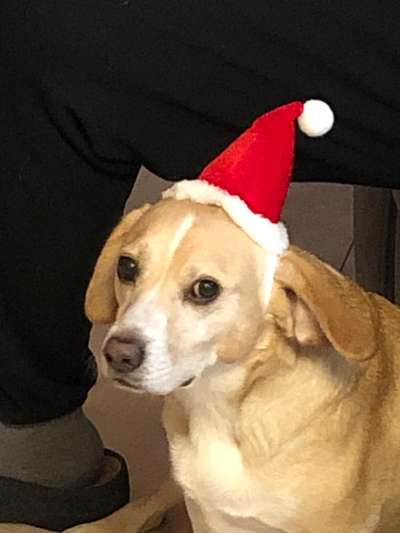 It's beginning to look a lot like.....-Beitrag-Bild