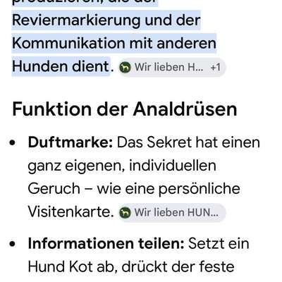 Analdrüsen-Beitrag-Bild