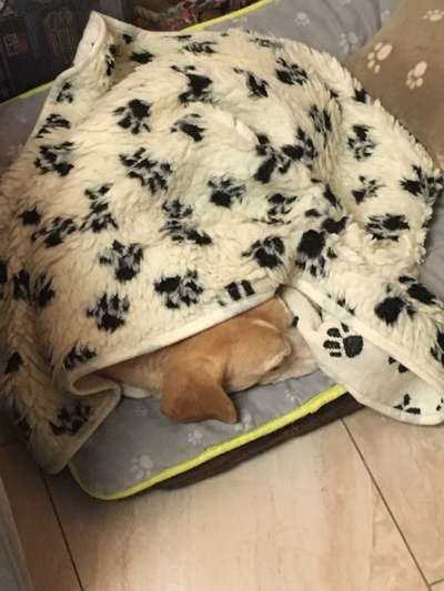 Pullis, Jacken, Hütte und alles sonstiges-Beitrag-Bild