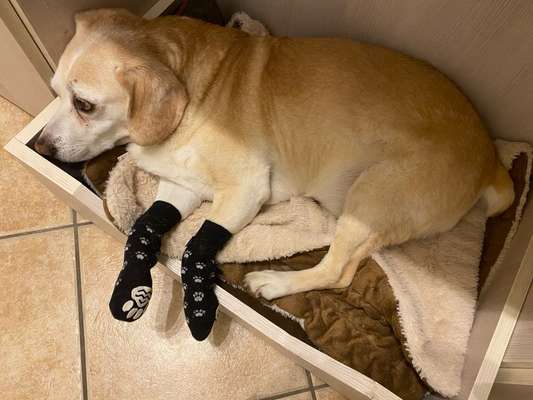 Massives putzen und kratzen-Beitrag-Bild