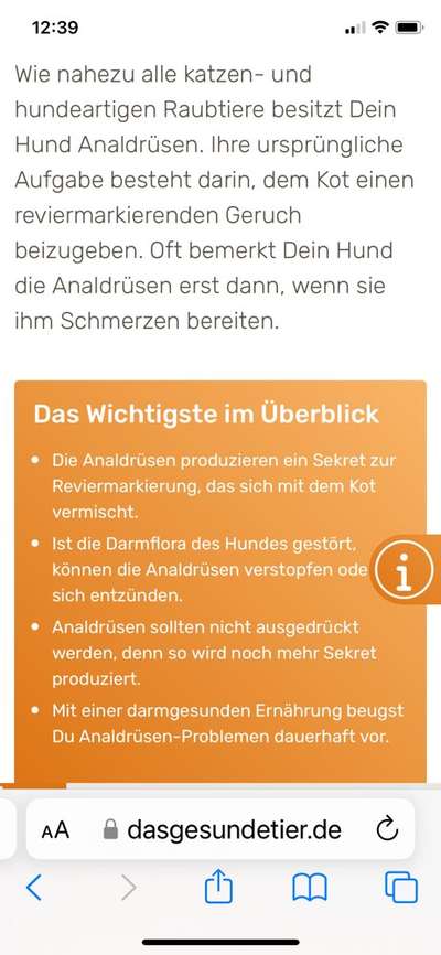 Regelmäßige Analbeutelentleerung-Beitrag-Bild