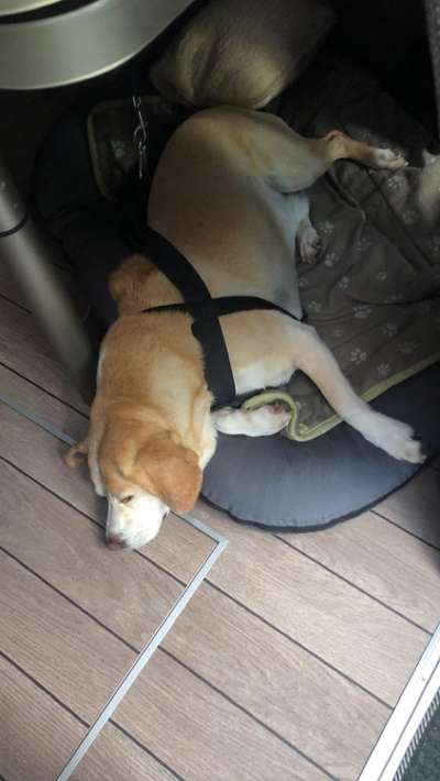 Erstausstattung-Beitrag-Bild