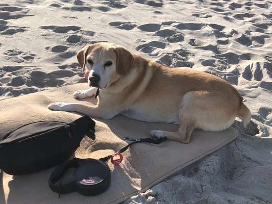 Doppelgänger gesucht !-Beitrag-Bild