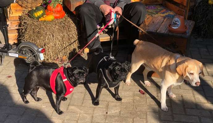 Handy-Foto-Challange Nr. 8-Beitrag-Bild