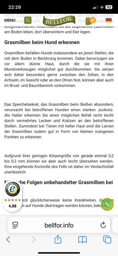 Massives putzen und kratzen-Beitrag-Bild