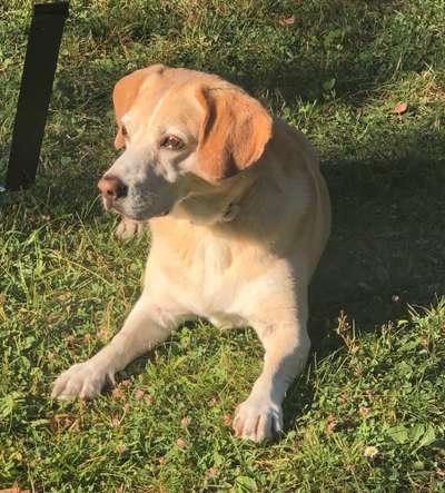 Fotowettbewerb zum Thema "Sonne"-Beitrag-Bild