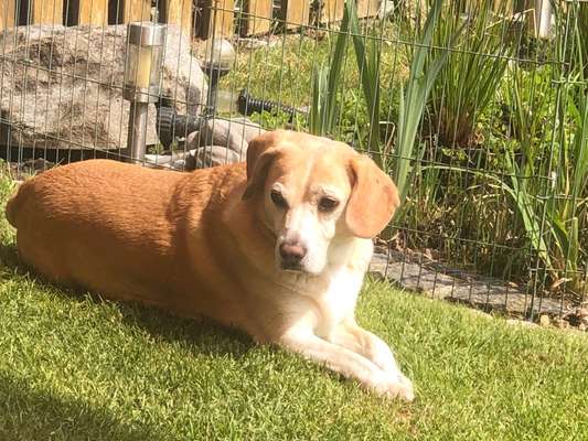 Doppelgänger gesucht !-Beitrag-Bild