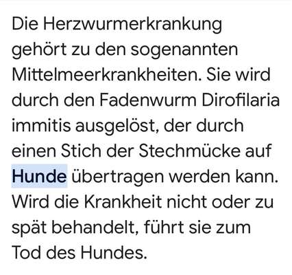 Wird zu selten entwurmt? Wurmbefall bei Hunden in Deutschland-Beitrag-Bild