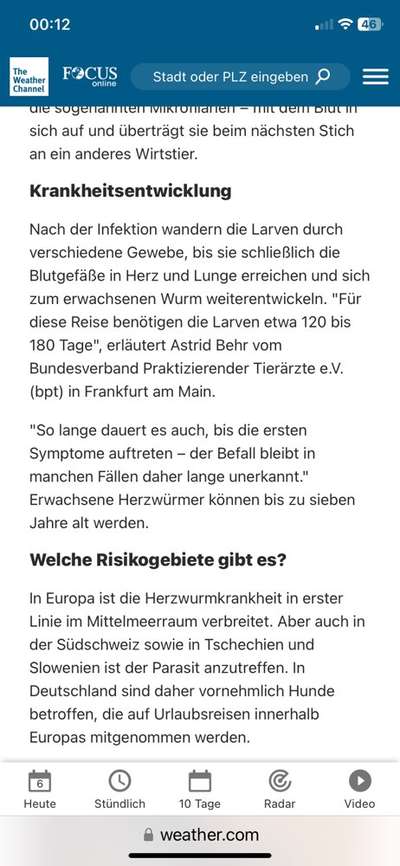 Wird zu selten entwurmt? Wurmbefall bei Hunden in Deutschland-Beitrag-Bild