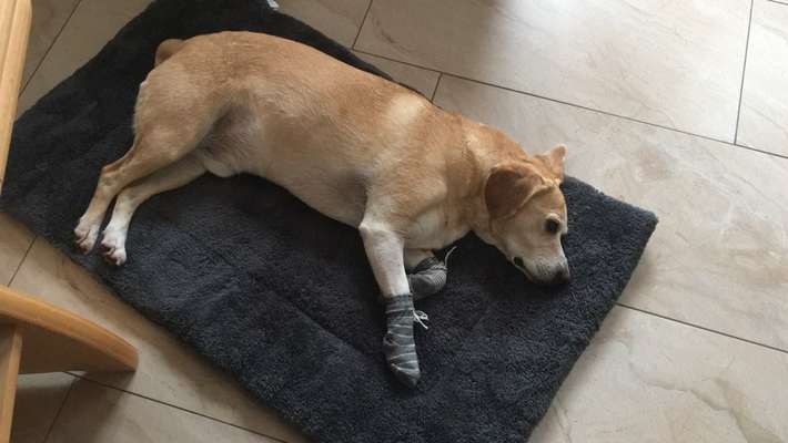 Rote Punkte / Pusteln / Quaddeln im Ohr-Beitrag-Bild