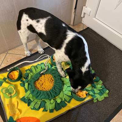 Bänder überdehnt - 5 Monate-Beitrag-Bild