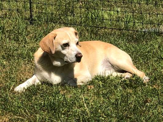 Doppelgänger gesucht !-Beitrag-Bild