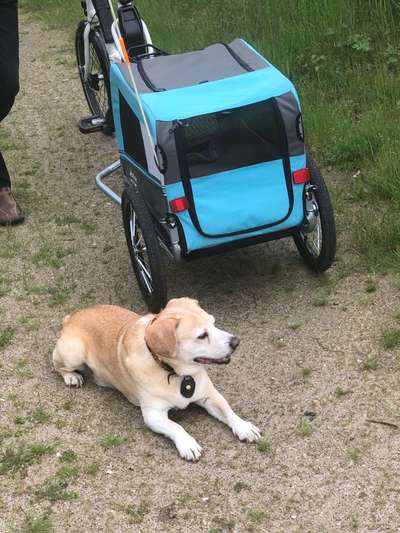 Senioren-Beitrag-Bild