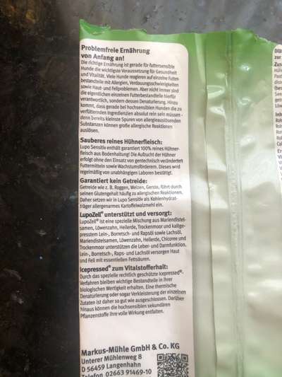 Welpe hat zum 2. Mal Ohrenentzündung/Milben-Beitrag-Bild