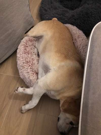 Lustigsten Bilder-Beitrag-Bild