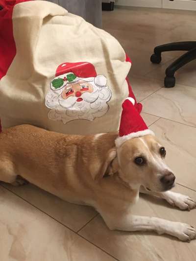 It's beginning to look a lot like.....-Beitrag-Bild