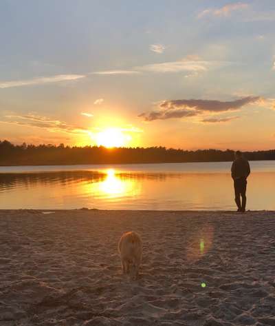 118. Fotochallange-Beitrag-Bild