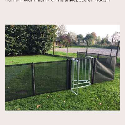 Camping mit Hund/en-Beitrag-Bild