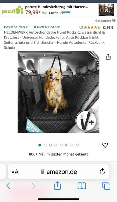 Hecheln bei der Autofahrt - längere Fahrten-Beitrag-Bild